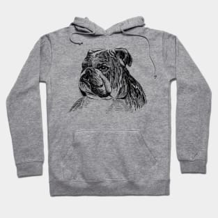 english bulldog Hoodie